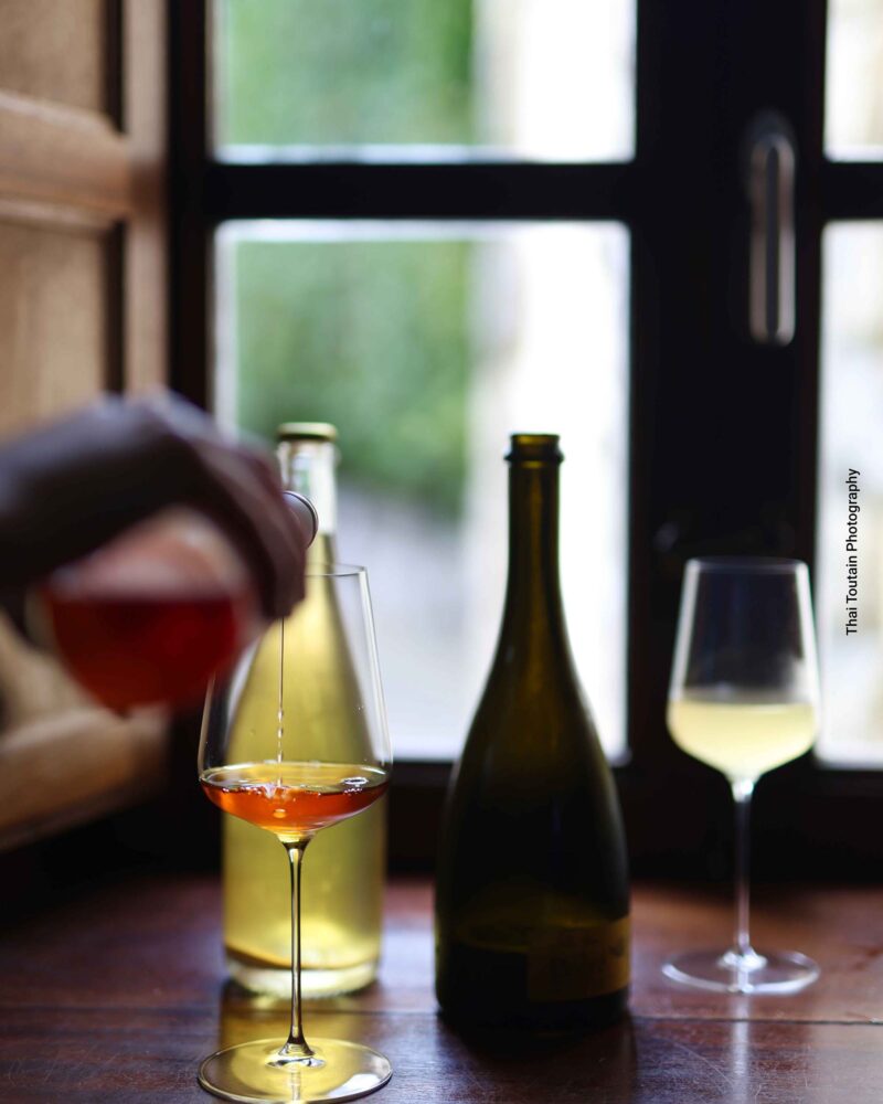 IceWine_Gunea_Spain_2025_